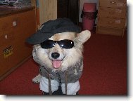 Ben��ek skej���ek