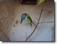 Nastala ta prav� chv�le