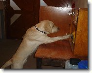 Toto se mn� l�b�, beru si to!!