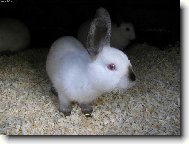 Z profilu jsem hez��...