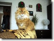 Jen tak se rozhl��m