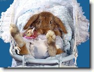 pot�ebuju p�ebalit....