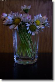 Pr�v� natrhan�