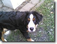 N� mil��ek Ben