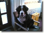 Ben a jeho k�eslo :)