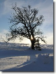 Slunce v du�i v roce 2007.