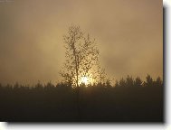 mlha na Vyso�in�