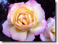 Vzpom�nka na l�to