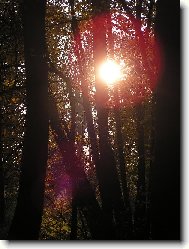 slunce v Mikul�ic�ch