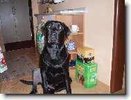 Eli�ka �ek� na j�dlo