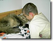 ko�ka velmi dom�c� :-)