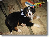 Barunka jako v�no�n� d�re�ek.........