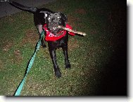 Ve�ern� ven�en�