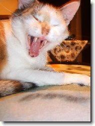 Nejlep�� momentka na�� Lindu�ky