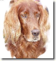 Fotka k 7 narozenin�m