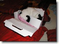 Z�kusky mi moooc chutnaly