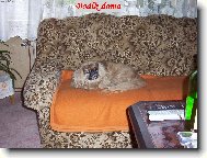 mil��ek rodiny