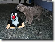 Flipe�ek a Krte�ek:-)