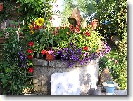 mamin�ina zahr�dka