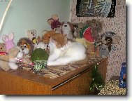 umyt� mus� b�t i obsah tal��e