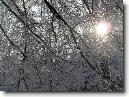 Zimn� slun��ko