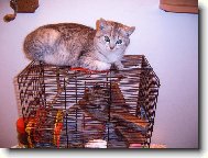 j� a m�j nejlep�� p��tel