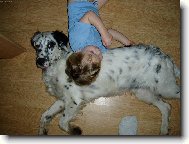 Harwey z Me�insk� h�jovny