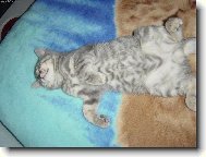 Pohoda, kl�dek a leh�ro...