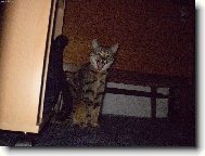 HAHA v�echny v�s se�eru:-)