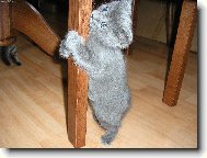 Stejn� tam jednou vylezu :-)