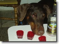 na�i mil��kov�