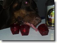 na�i mil��kov�