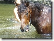 na�i mil��kov�