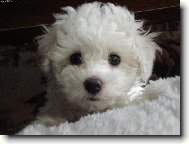 Jsem tak nesku�enej...