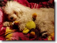 sp�m s ply���kem