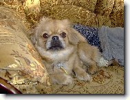 No �o by ste chceli?