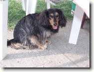 Pr�v� jsem dob�hla