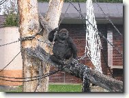 kl�dek,pohodi�ka,��dn� k�e�...