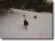 Po��dn� pin�� sn�hov� honi�ka