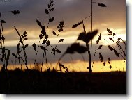 Setk�n�.............