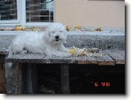 Chutn�!!!!!!!!!!!!!!!