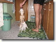 Mat�sek a Laudy