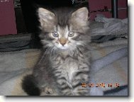 p��rustek do rodiny