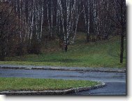 Podzimn� de�t�