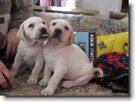 "to jsme ale krasn�"