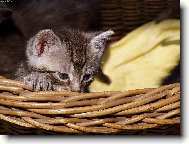 Tak jak to na tom sv�t� vypad�?