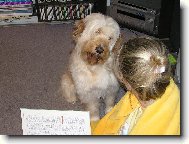 . . . co mi to pov�d�???