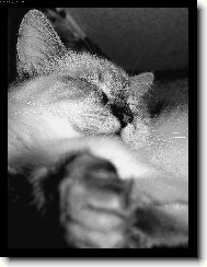 J� jsem Gucci,tak co bych nebyl frajer :o)