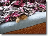 takhle j� spink�m