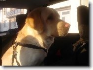 Tak kam teda jedeme? �ekne mi to n�kdo??